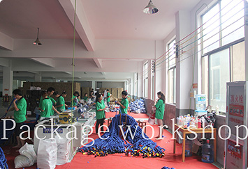 Package Workshop